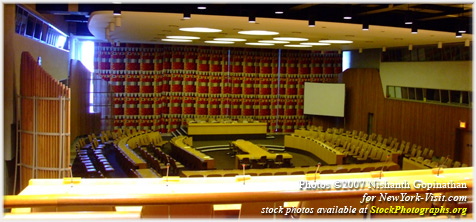 United Nations Economic and Social Council