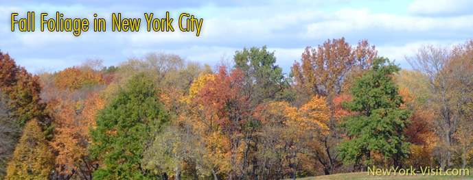 Autumn Colors in Manhattan, Bronx, Brooklyn, QAueens, Staten Island, New York City